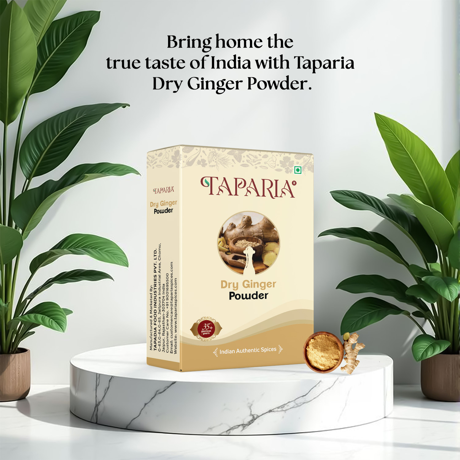 Taparia Dry Ginger Powder