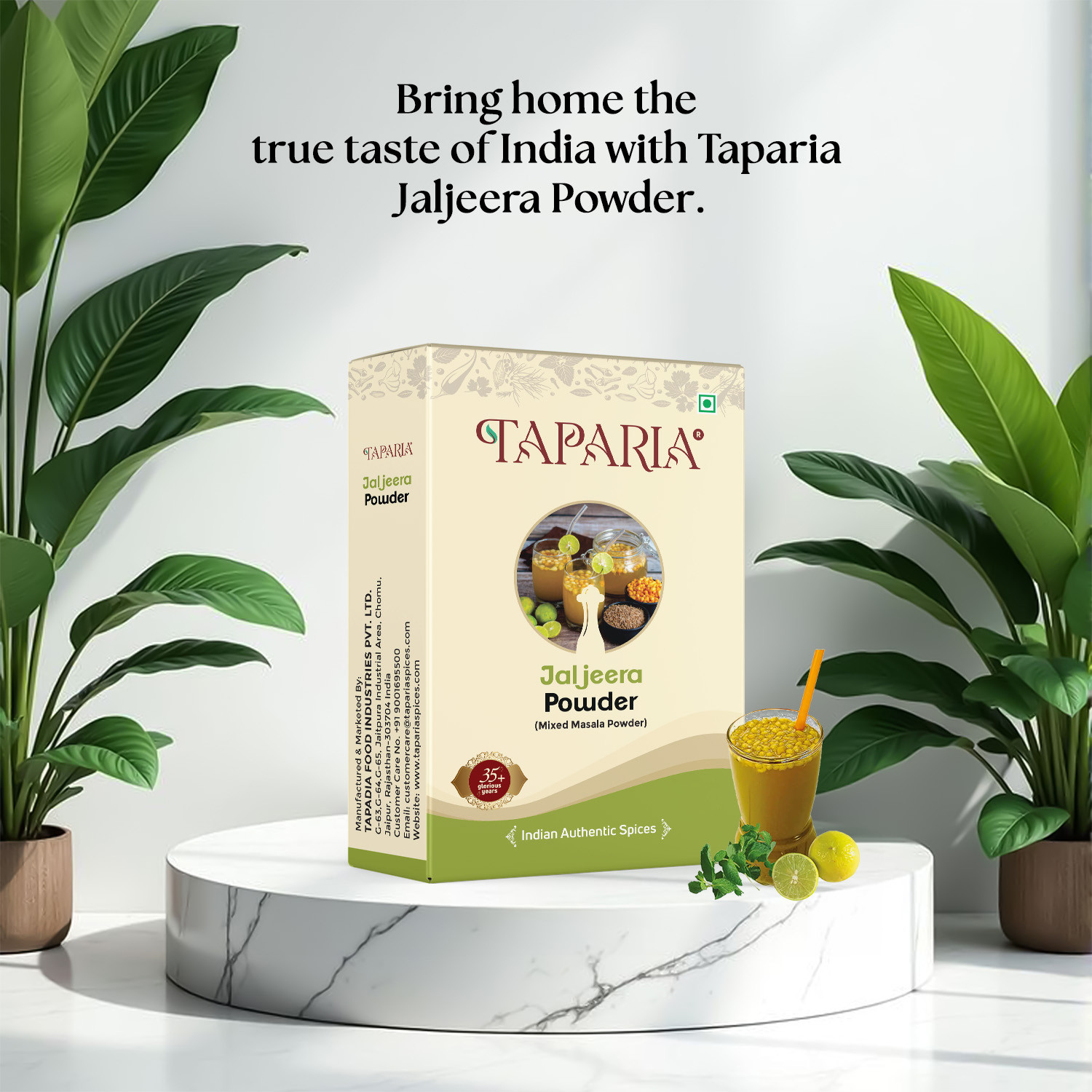 Taparia Jaljeera Powder