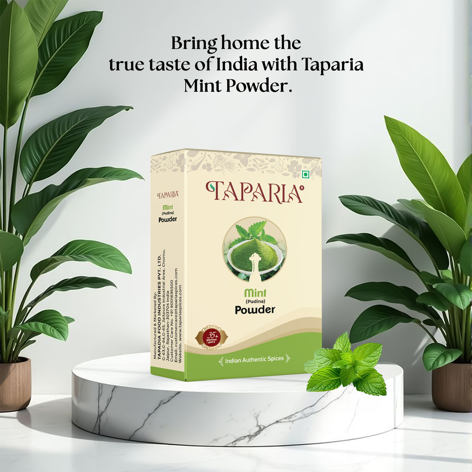 Taparia Mint Powder