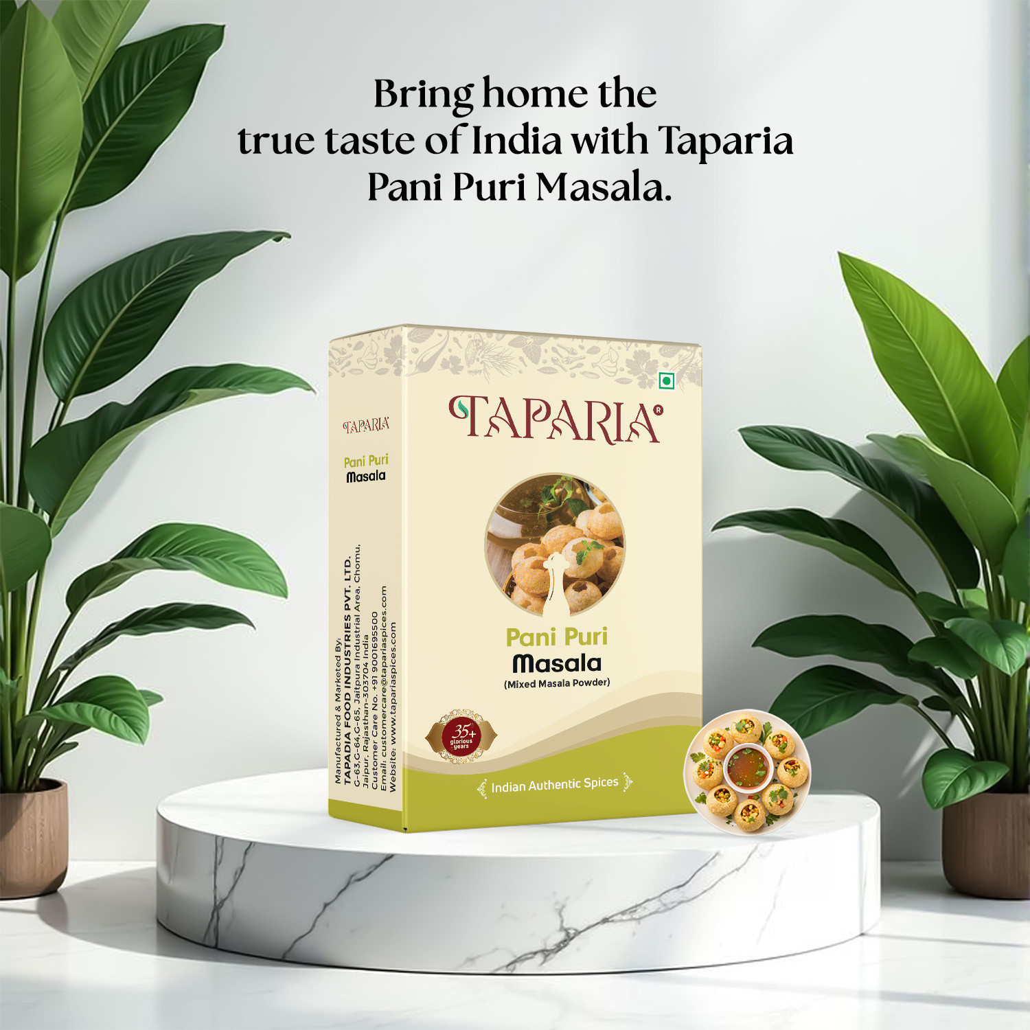 Taparia Pani Puri Masala