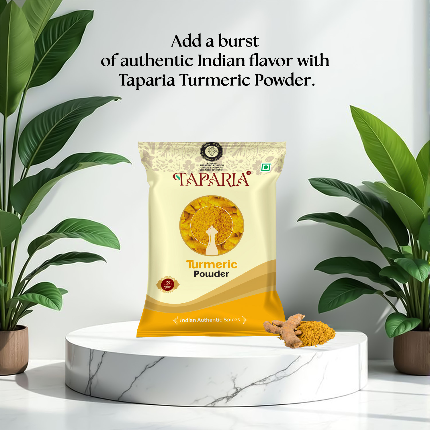 Taparia Turmeric powder
