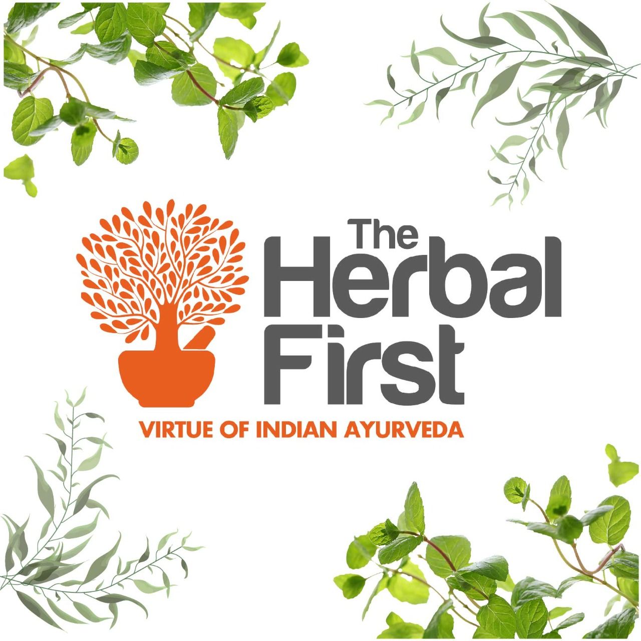 The Herbal First LLC to launch its Multi-Herbal supplements in States