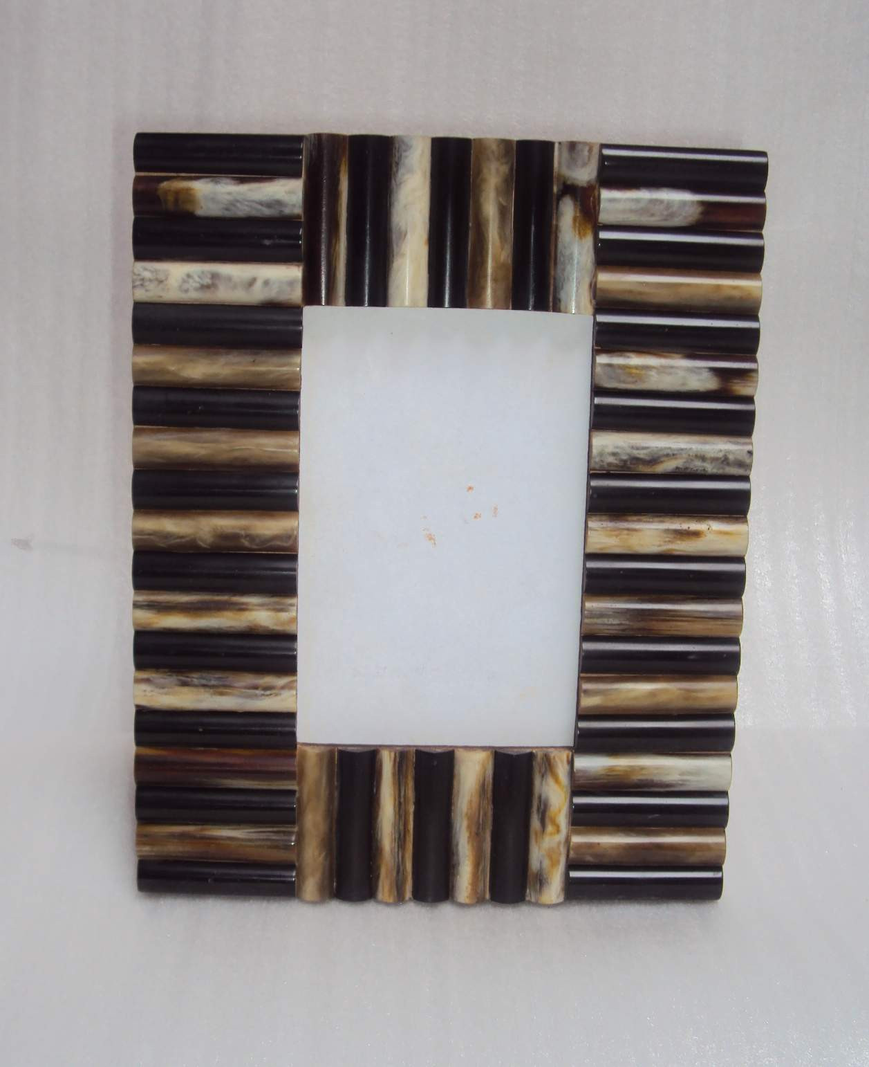 Bone And Horn Picture Frame