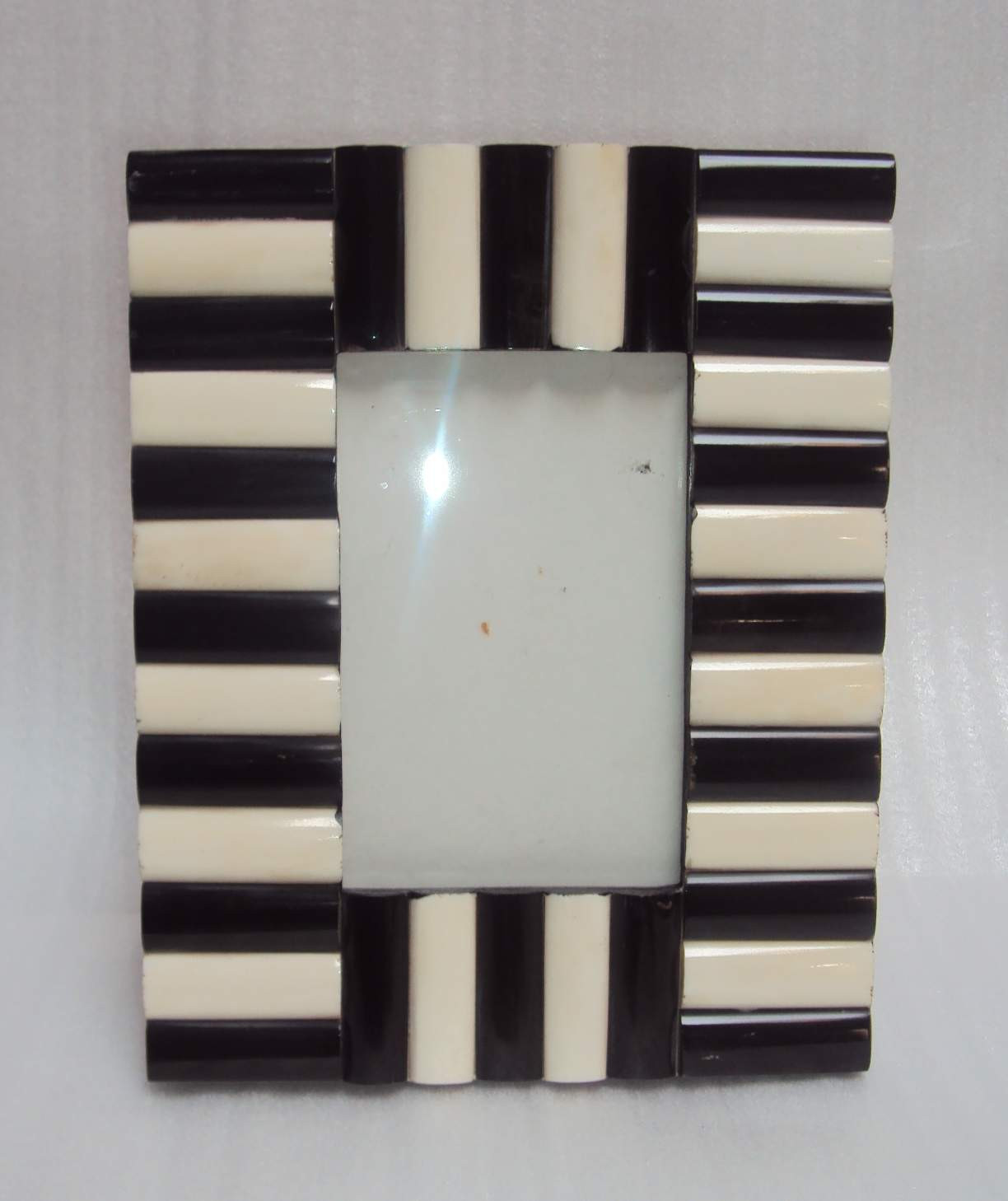 Bone And Horn Picture Frame