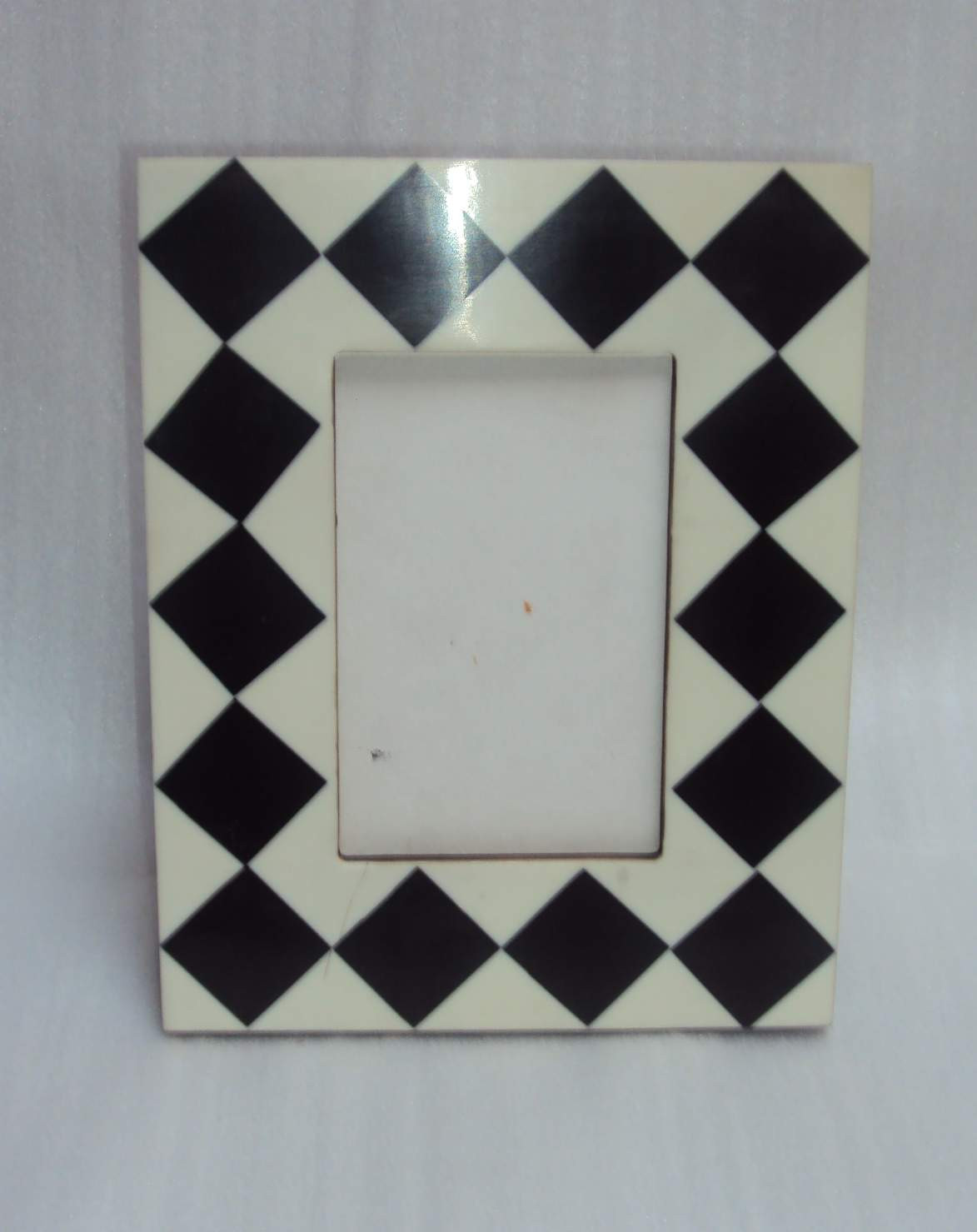 Bone And Horn Picture Frame