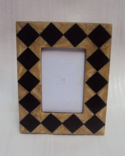 Image of Bone And Horn Picture Frame