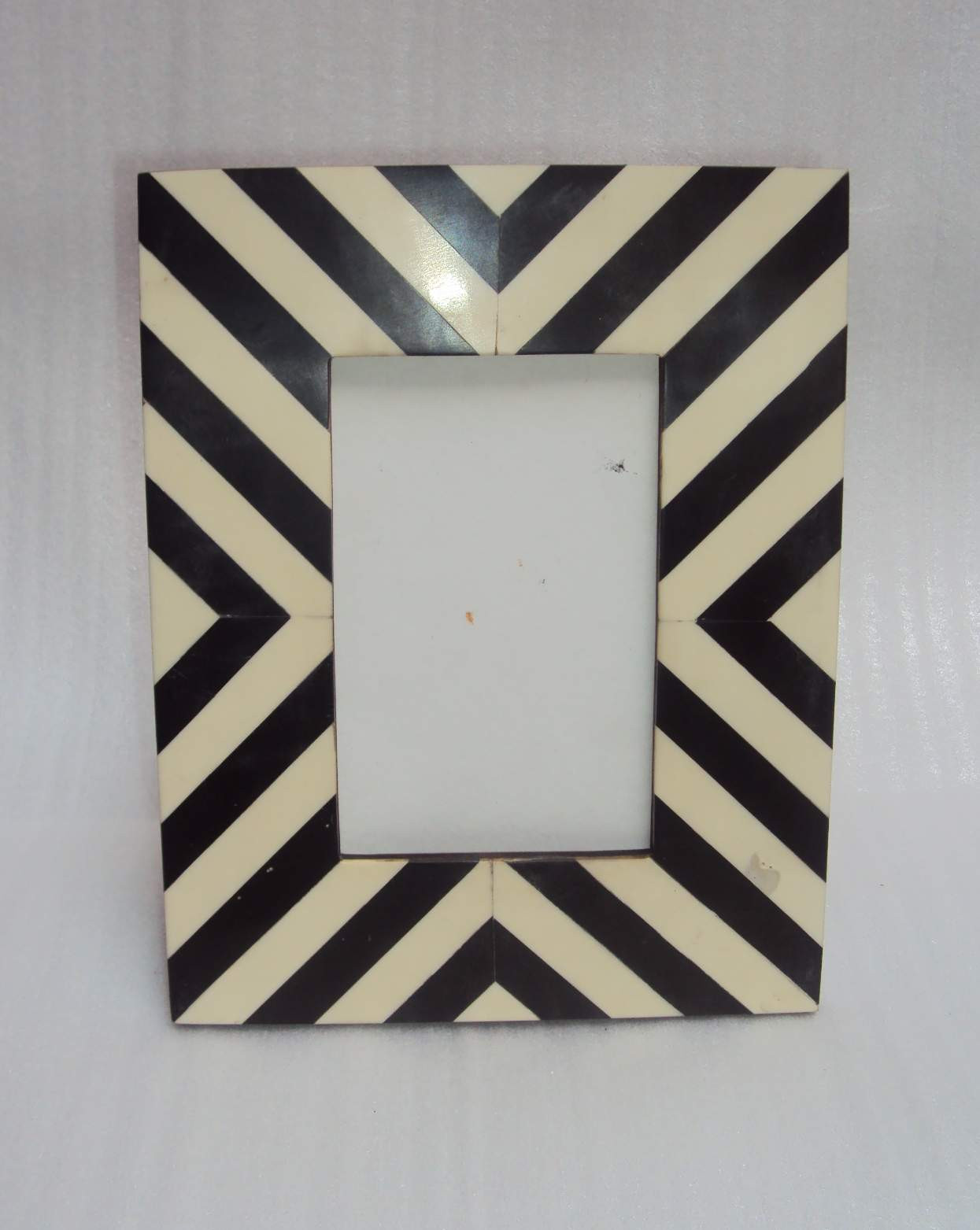 Bone And Horn Picture Frame
