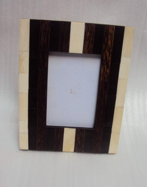 Image of Bone And Horn Picture Frame