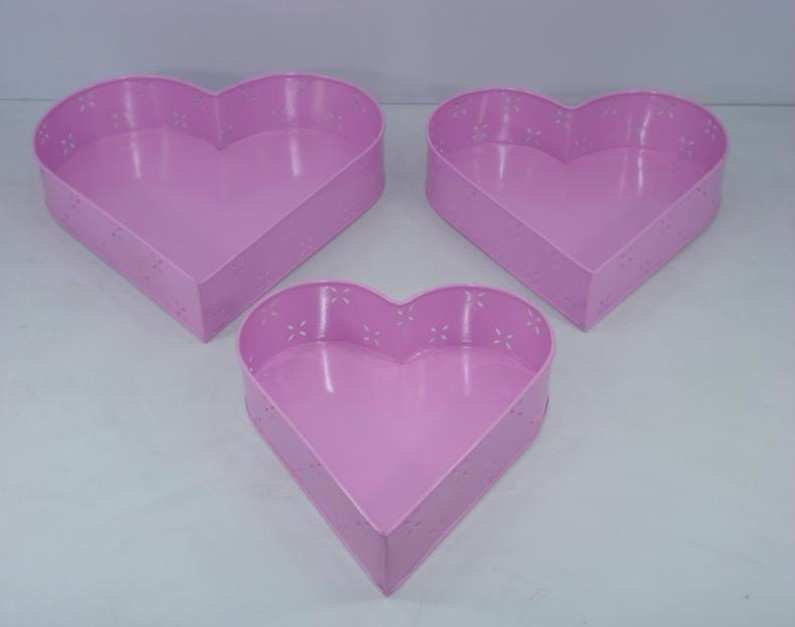 Iron Powder Coated Tray