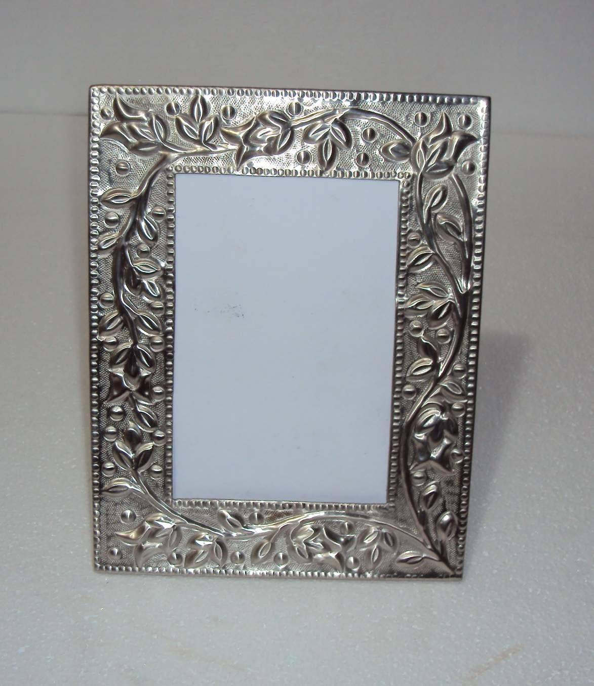 Nickle Plated Picture Frame
