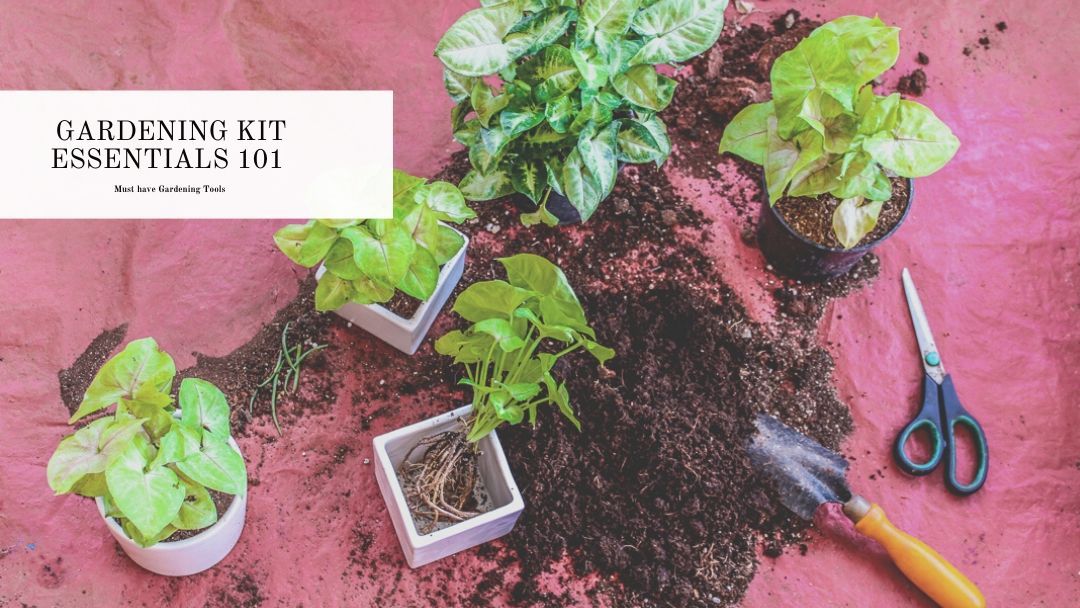 Essential gardening tools