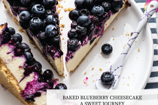 Baked Blueberry Cheesecake. Baking stories, fails and baking tips