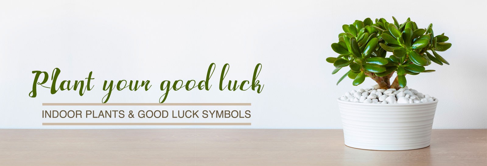 Good Luck Symbol