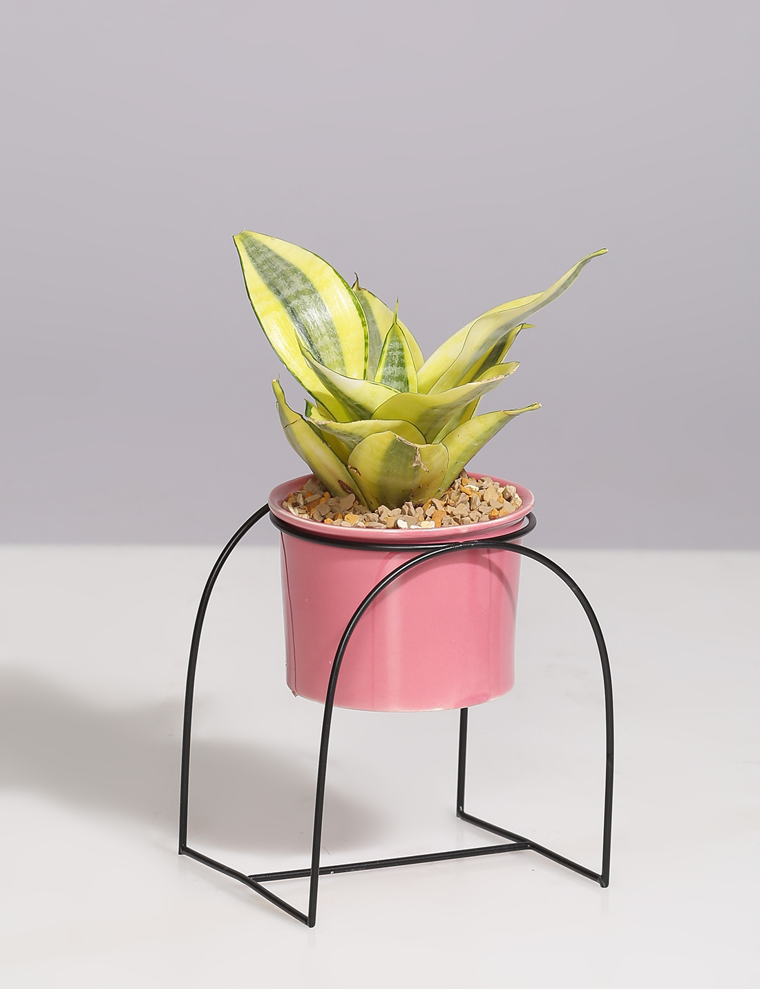 Ceramic Planter with U shaped metal Stand