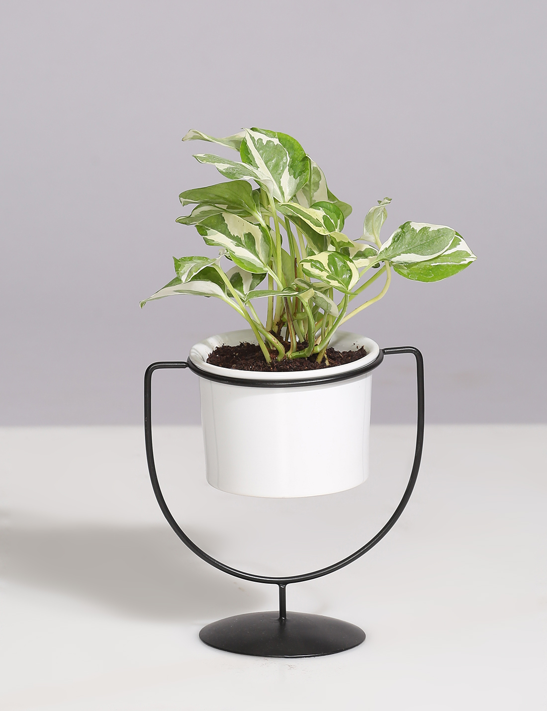 Ceramic Planter With Cup Shaped Metal Stand