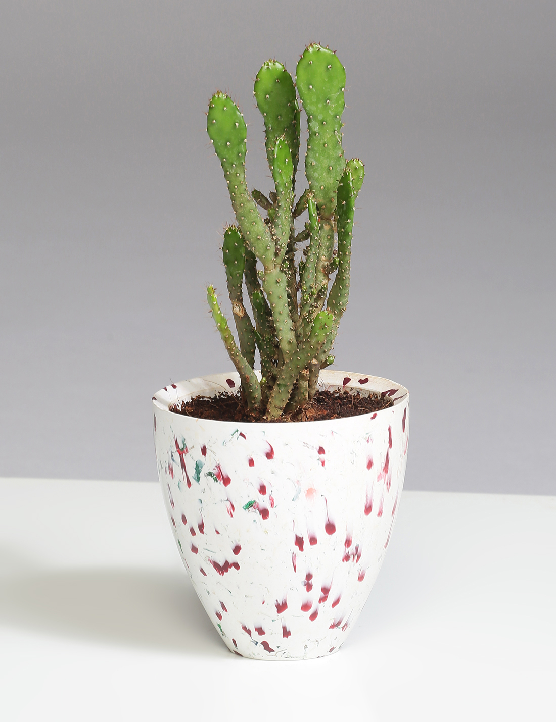 White recycled plastic planter with red spots