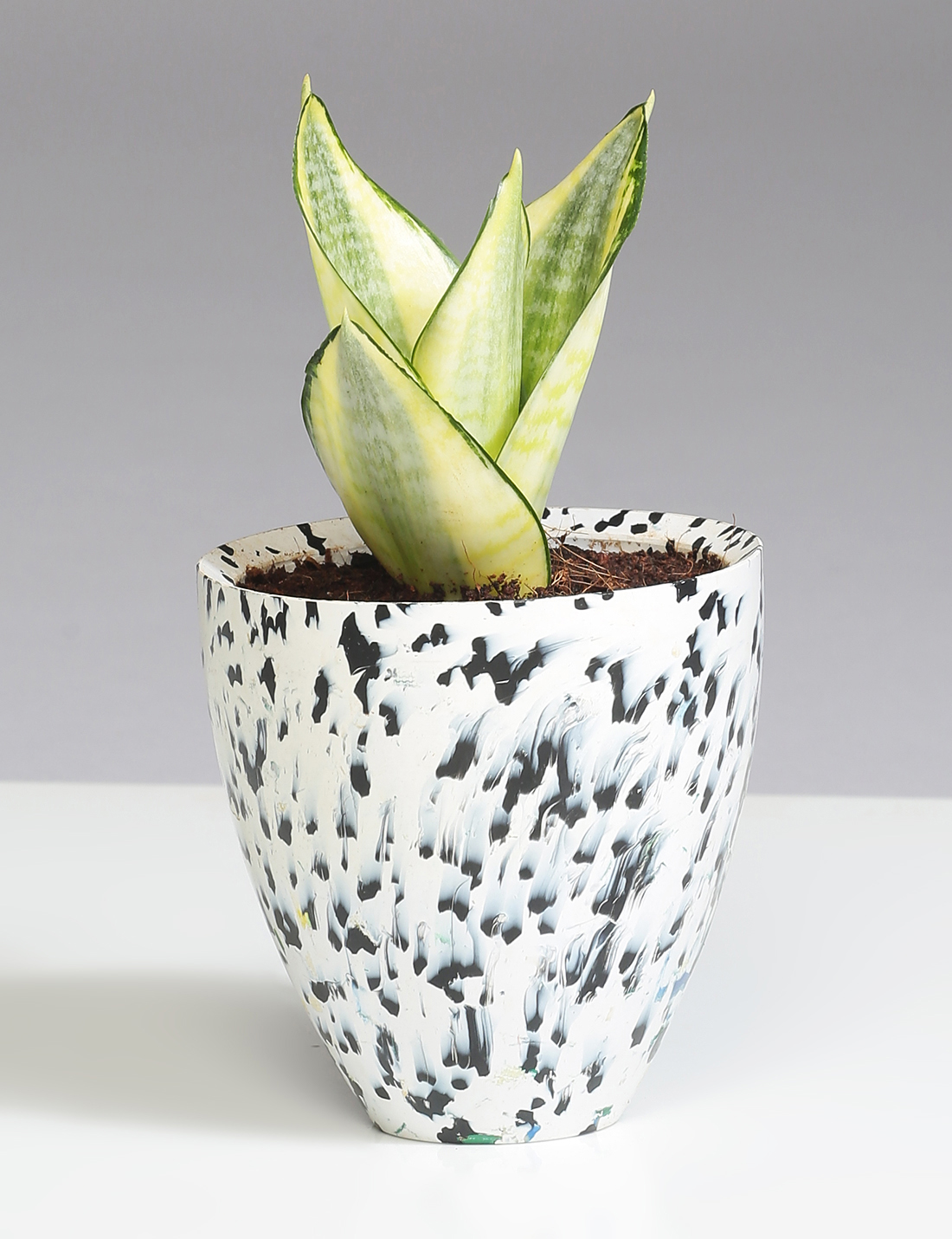 White recycled plastic planter with black spots