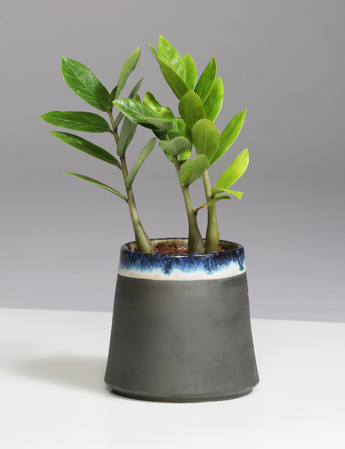 Charcoal slip handmade ceramic planter
