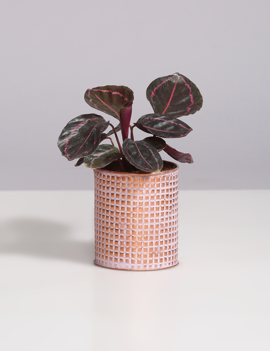 Embossed Vintage finish metal planter