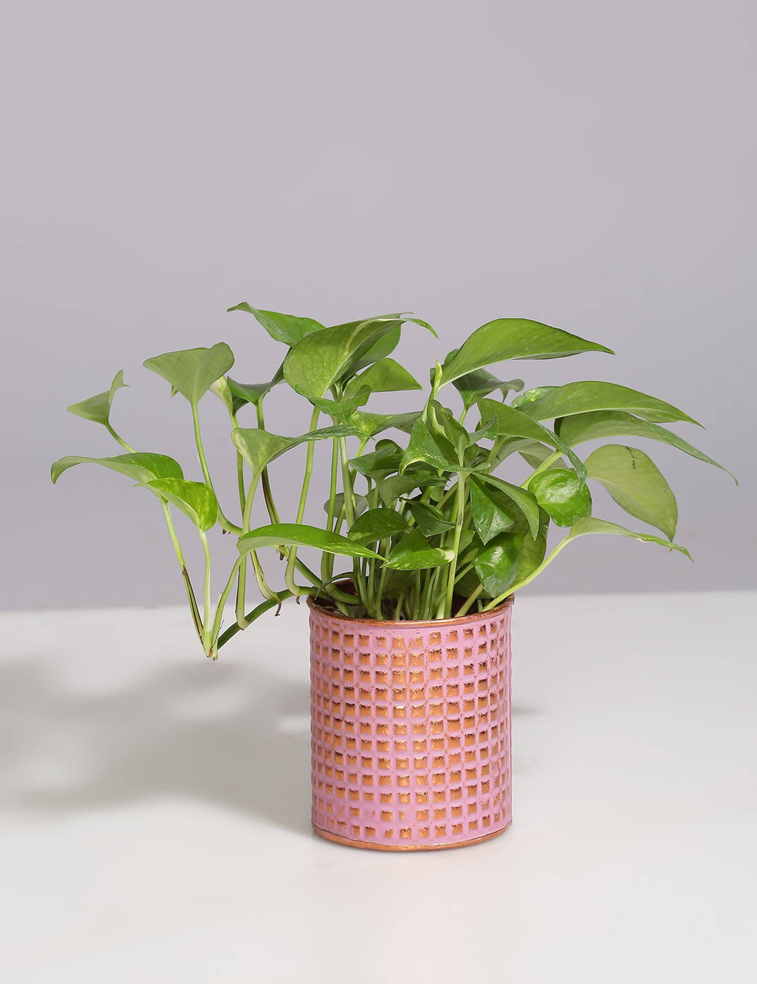 Embossed Vintage finish metal planter