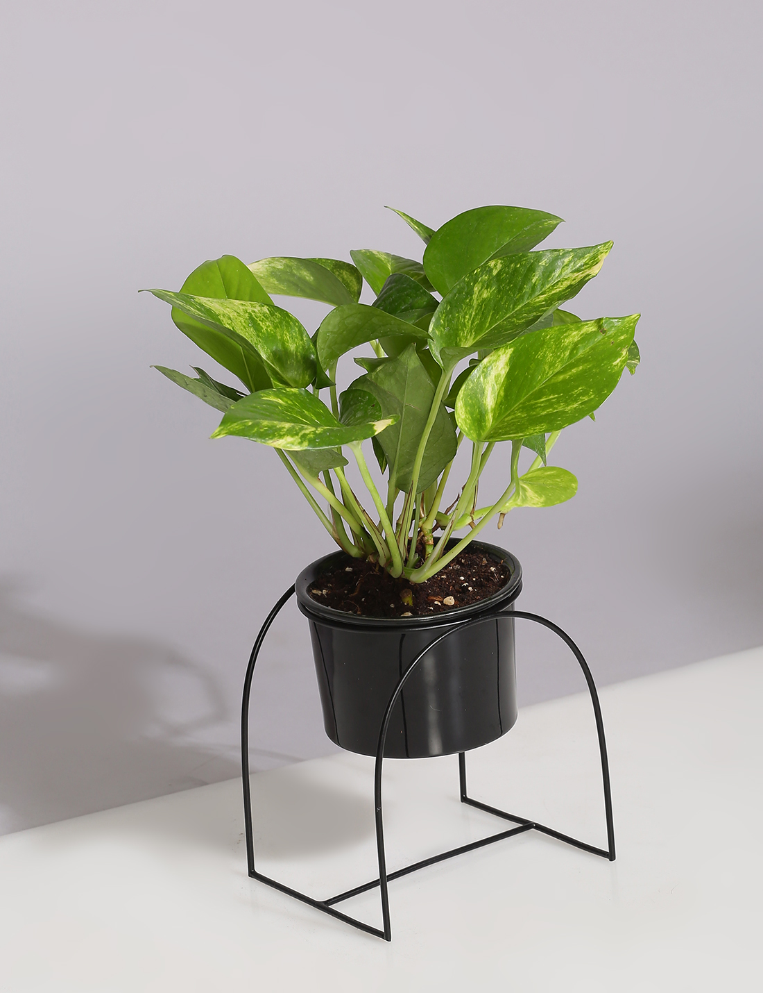 Ceramic Planter with U shaped metal Stand