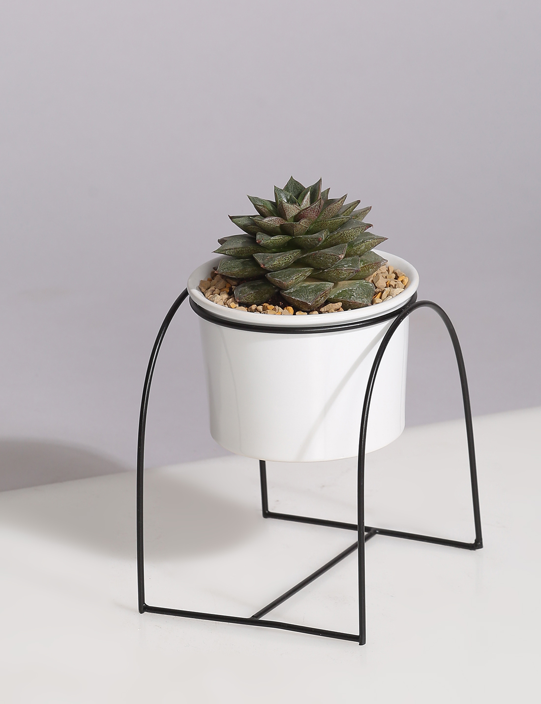 Ceramic Planter with U shaped metal Stand