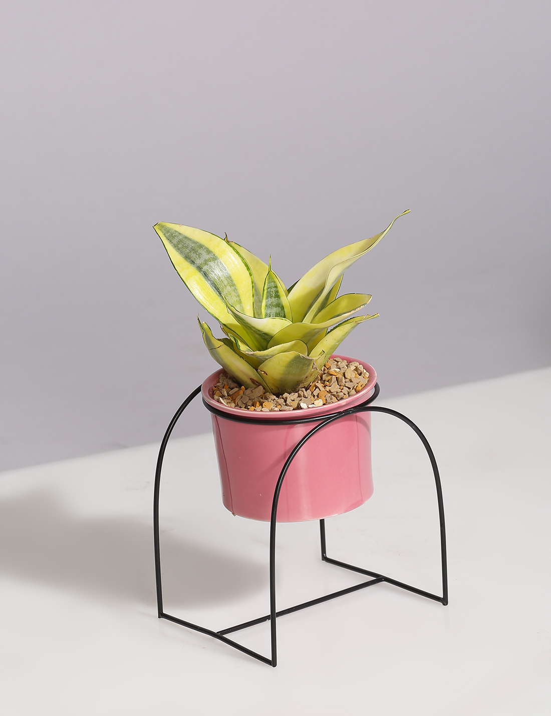 Ceramic Planter with U shaped metal Stand