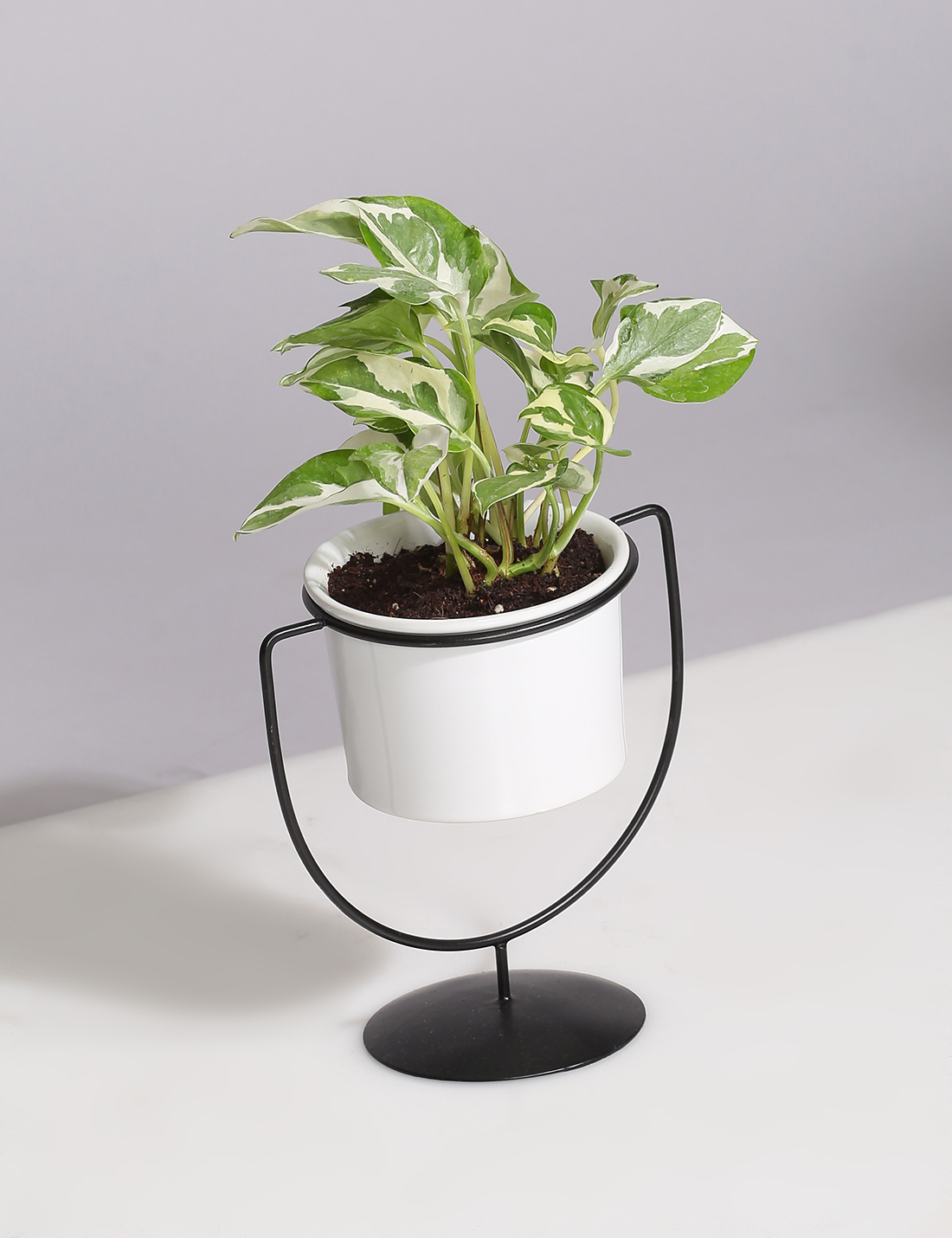 Ceramic Planter With Cup Shaped Metal Stand