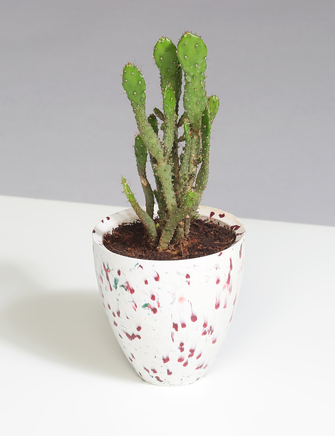 White recycled plastic planter with red spots