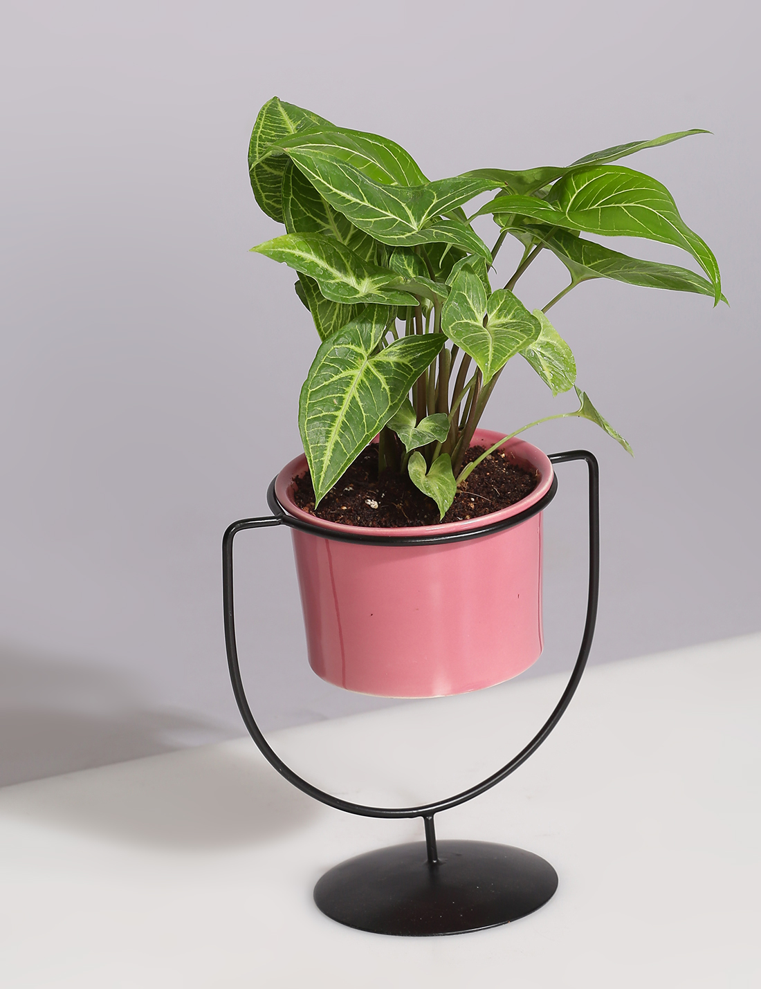 Ceramic Planter With Cup Shaped Metal Stand