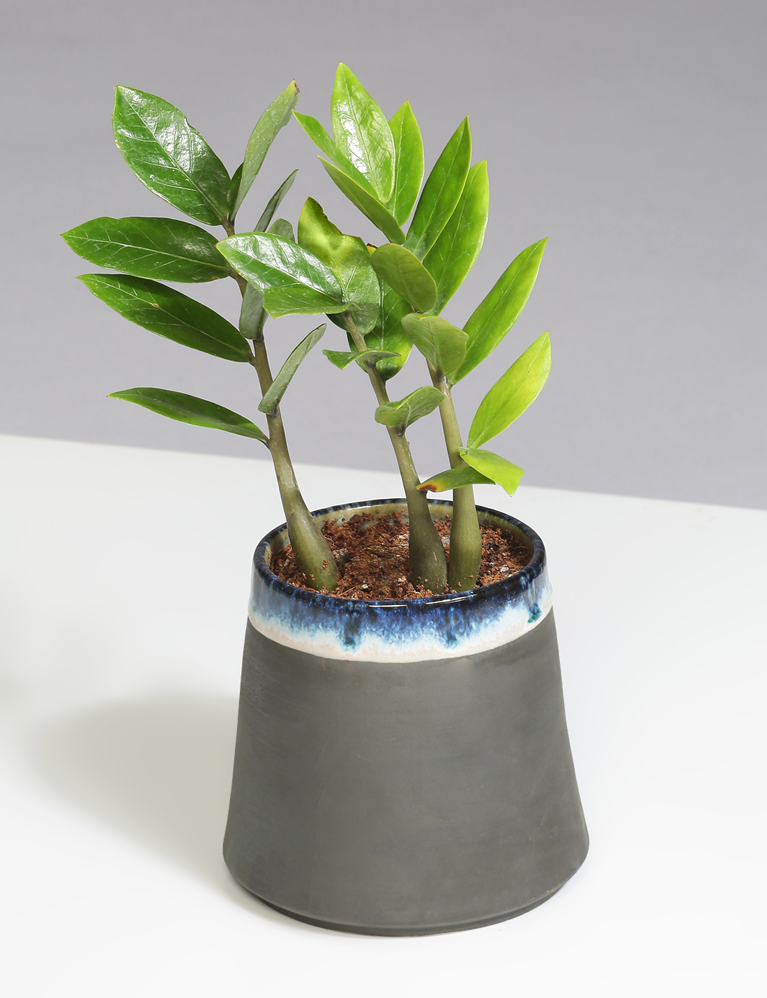 Charcoal slip handmade ceramic planter