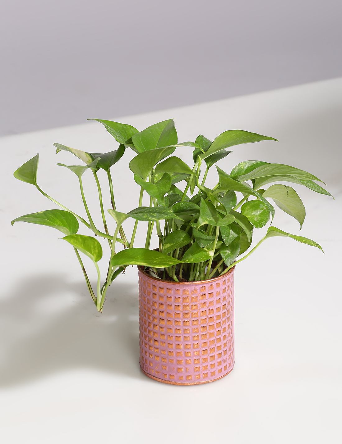 Embossed Vintage finish metal planter