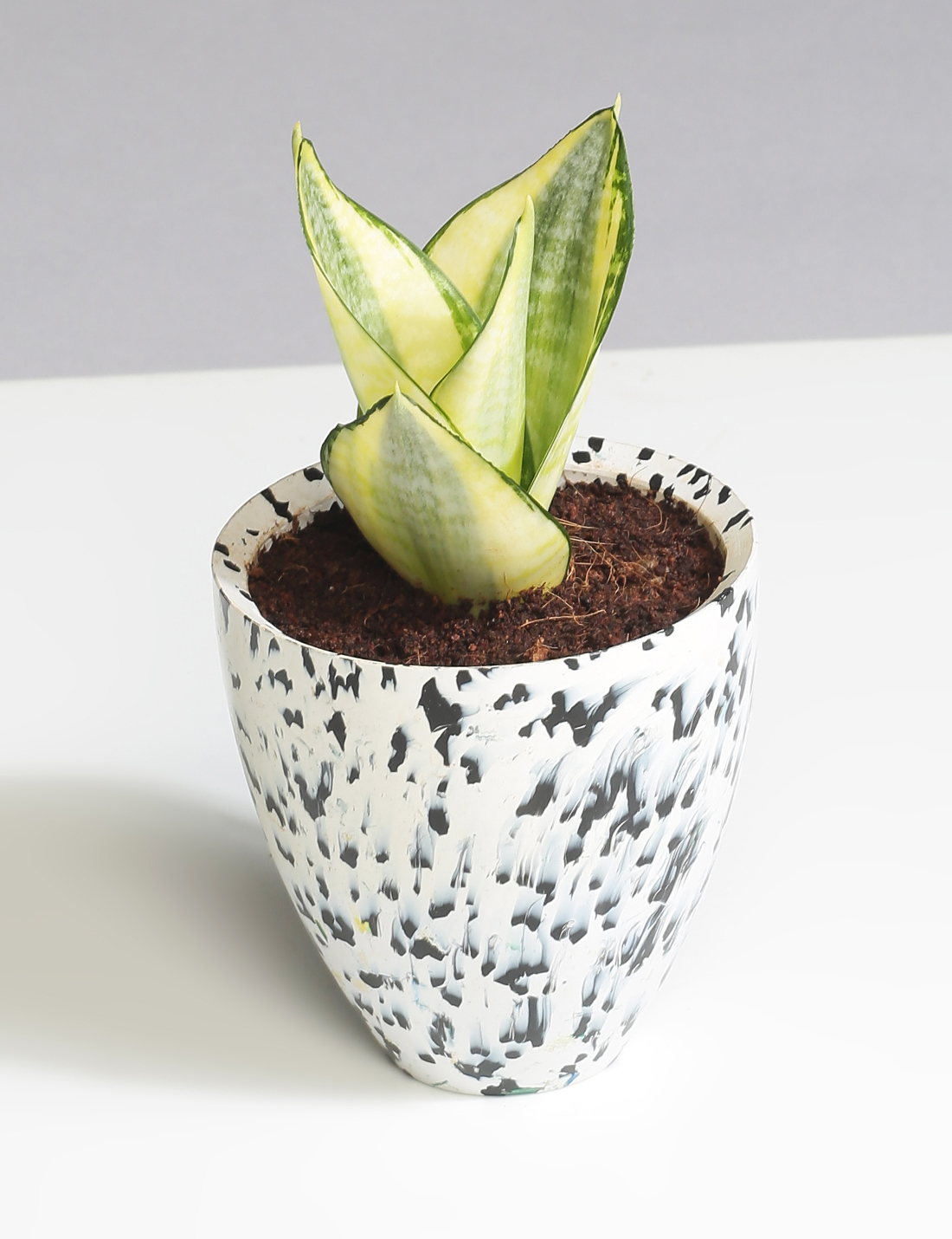 White recycled plastic planter with black spots