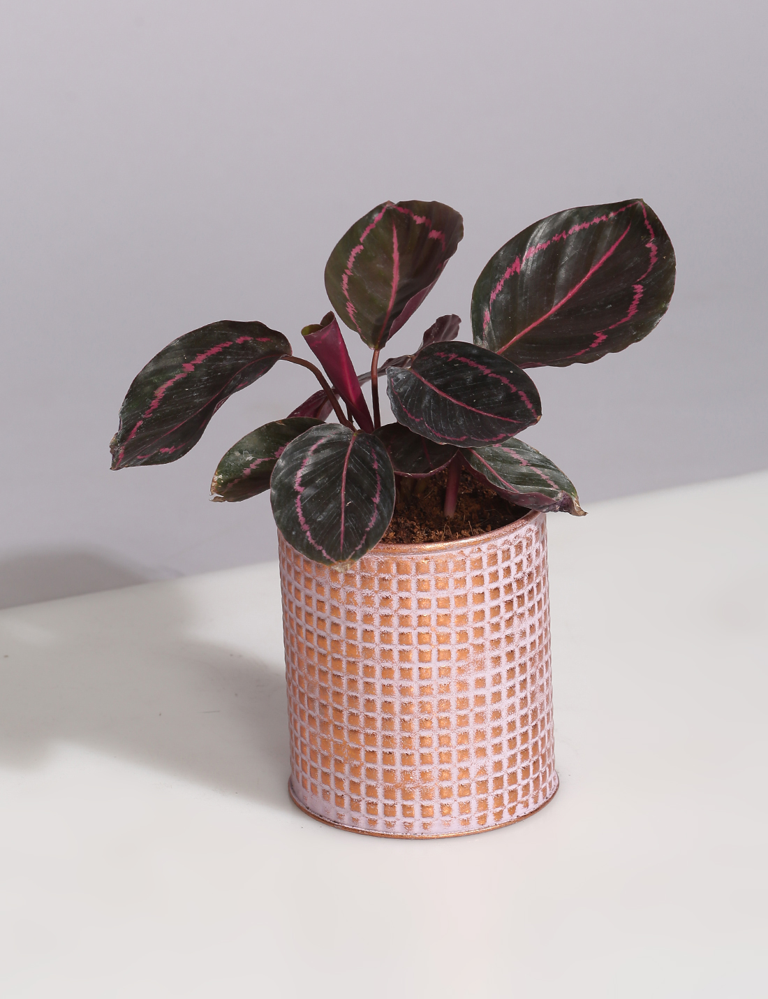 Embossed Vintage finish metal planter