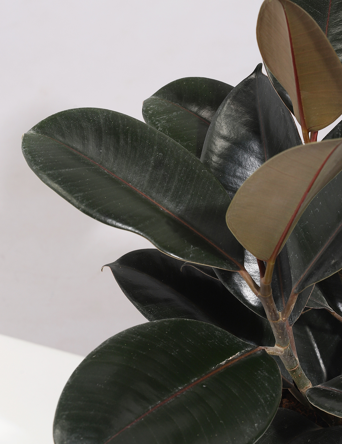 Distress Finished Aqua Metal Planter