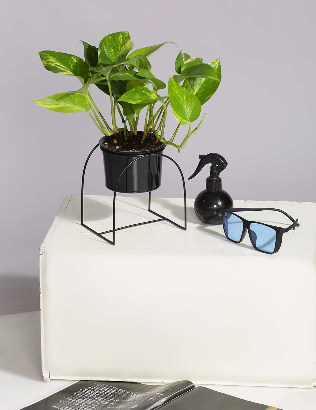 Ceramic Planter with U shaped metal Stand
