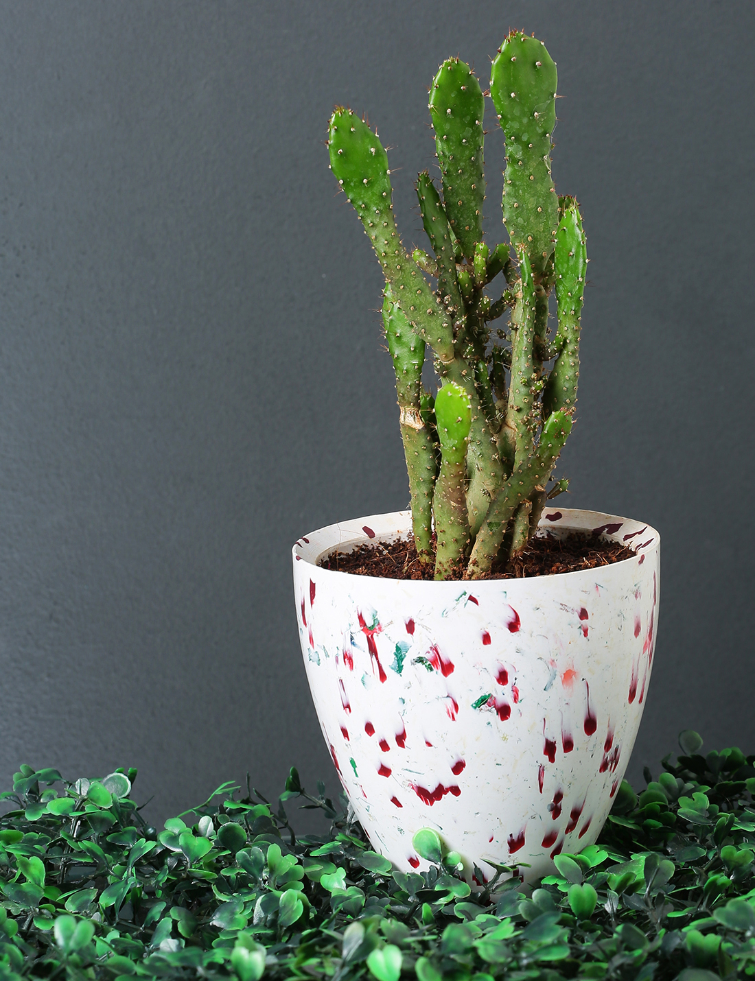 White recycled plastic planter with red spots