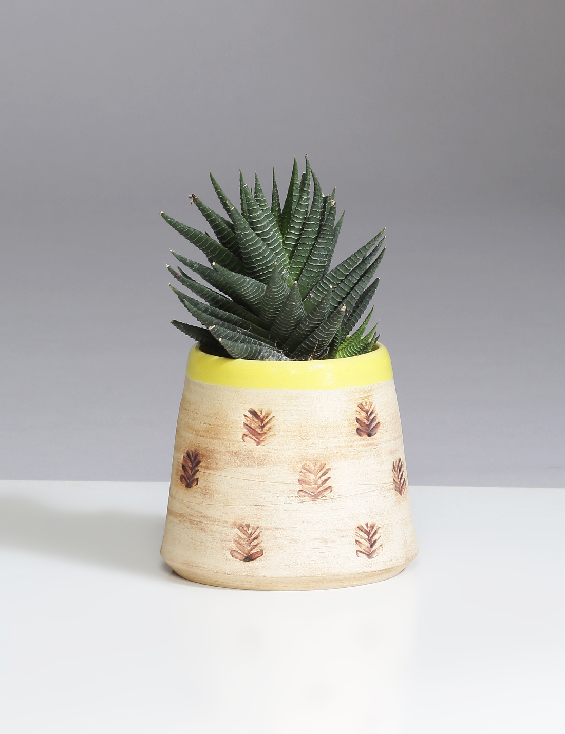 Pop stamp handmade ceramic planter