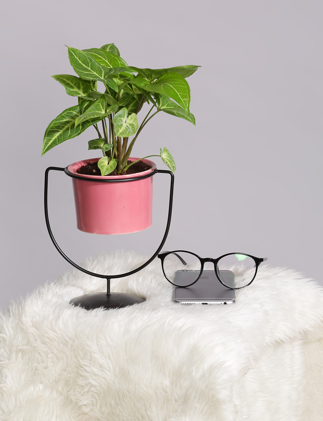 Ceramic Planter With Cup Shaped Metal Stand