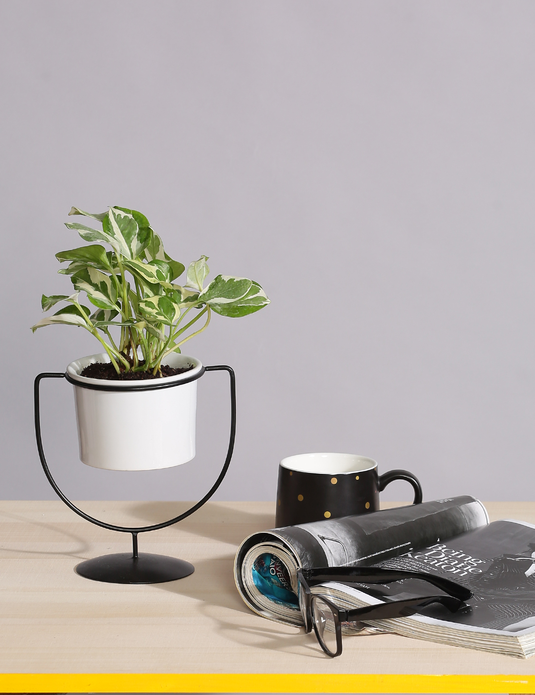 Ceramic Planter With Cup Shaped Metal Stand