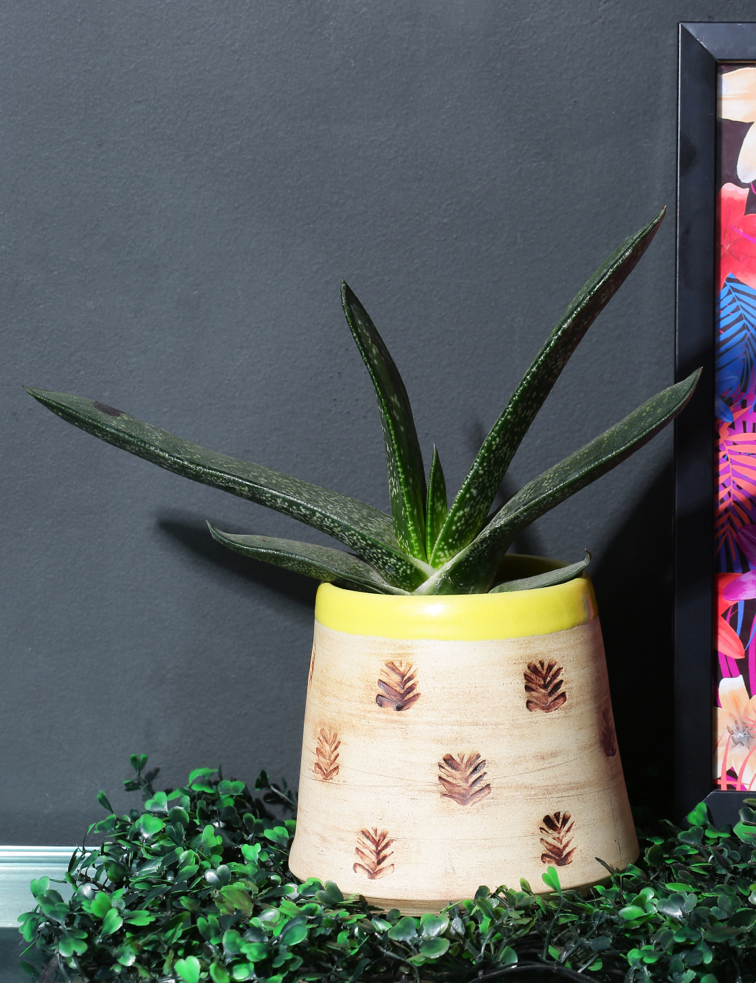 Pop stamp handmade ceramic planter