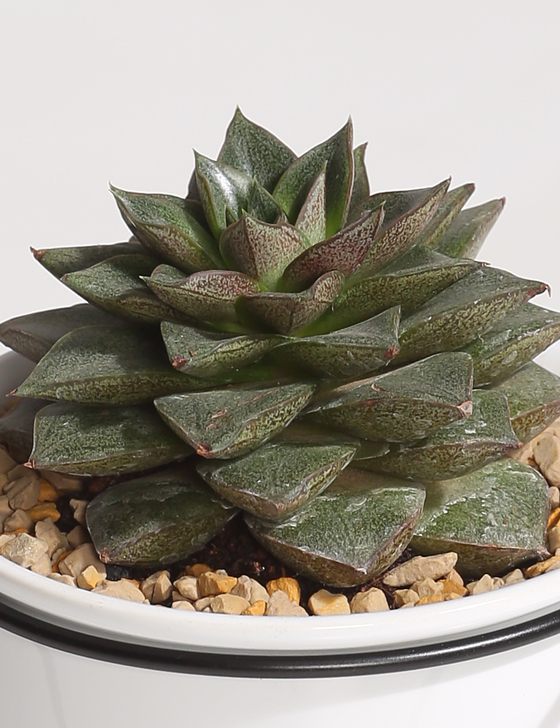 Ceramic Planter with U shaped metal Stand