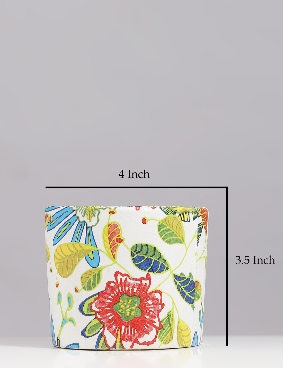 Zamia Plant In Handcrafted Printed Pot