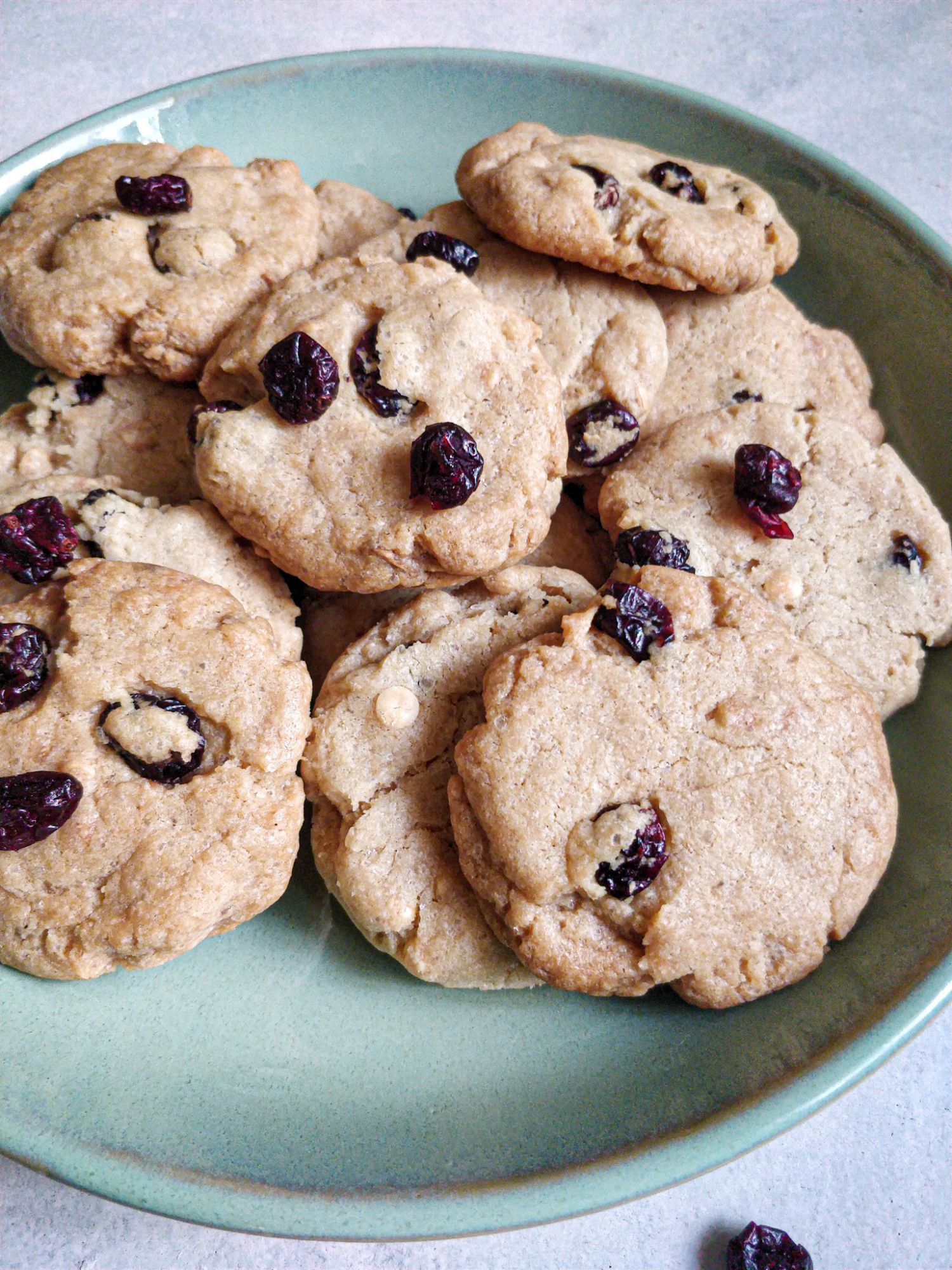 Cranberry White Chocolate Cookies Box of 10