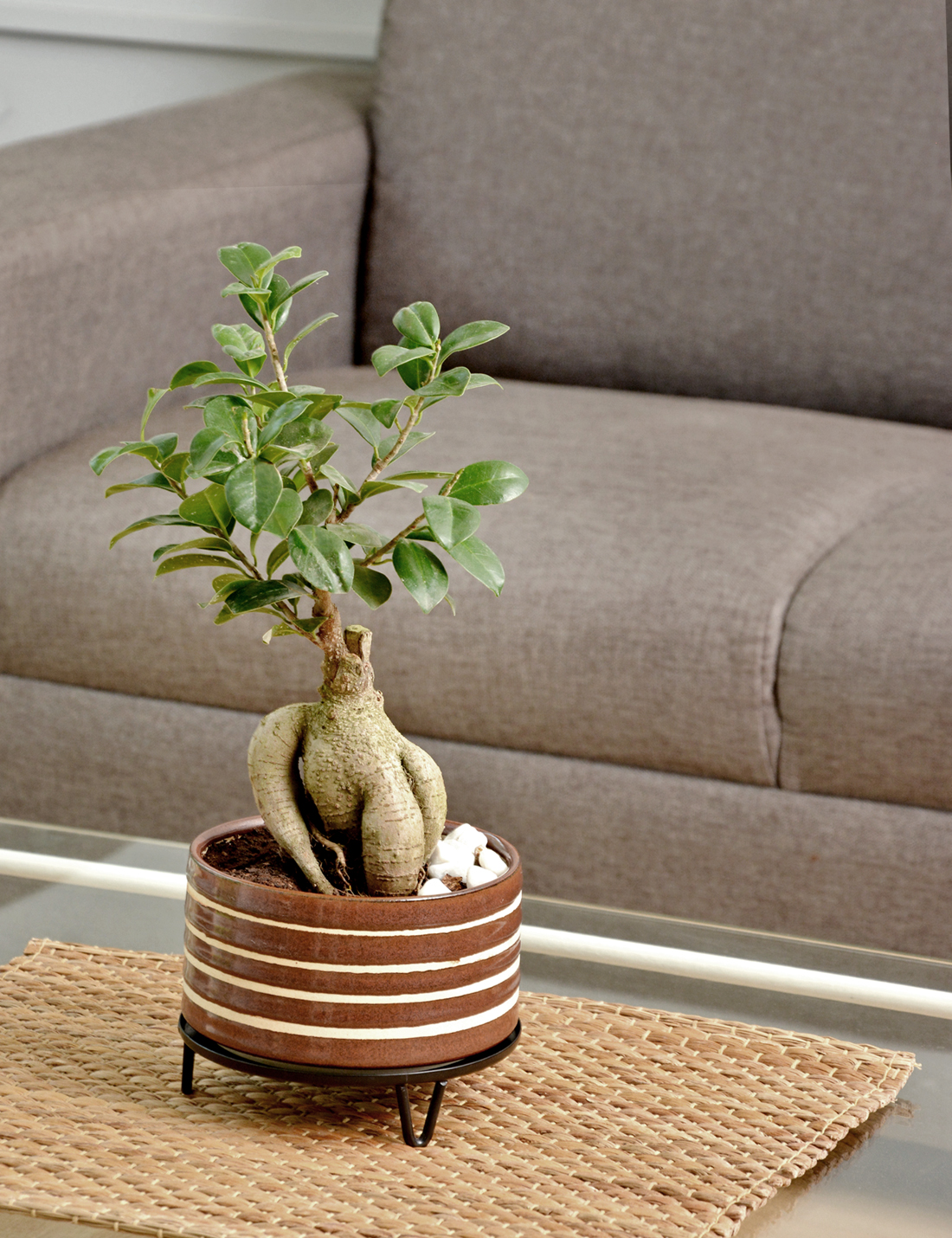 Zion - Handmade Ceramic Pot Brown