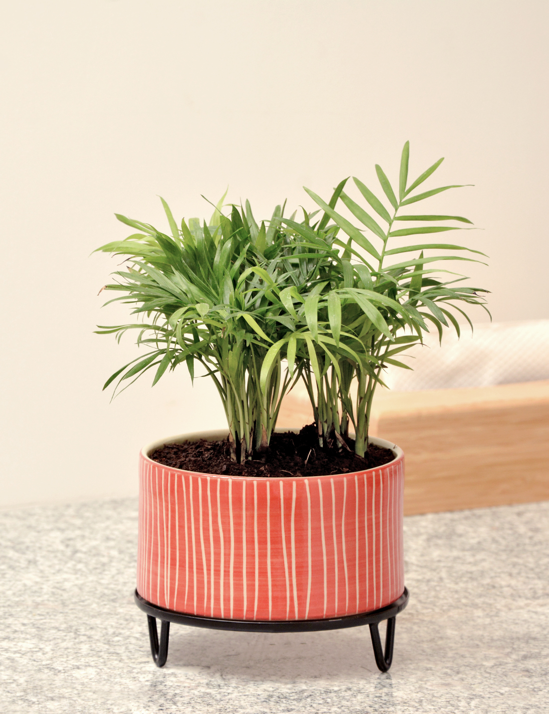 Lucas - handmade Ceramic pot  Poppy Red