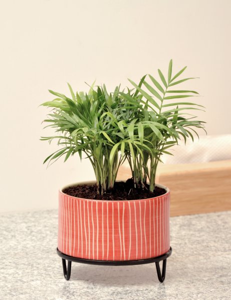 Image of Lucas - handmade Ceramic pot / Poppy Red