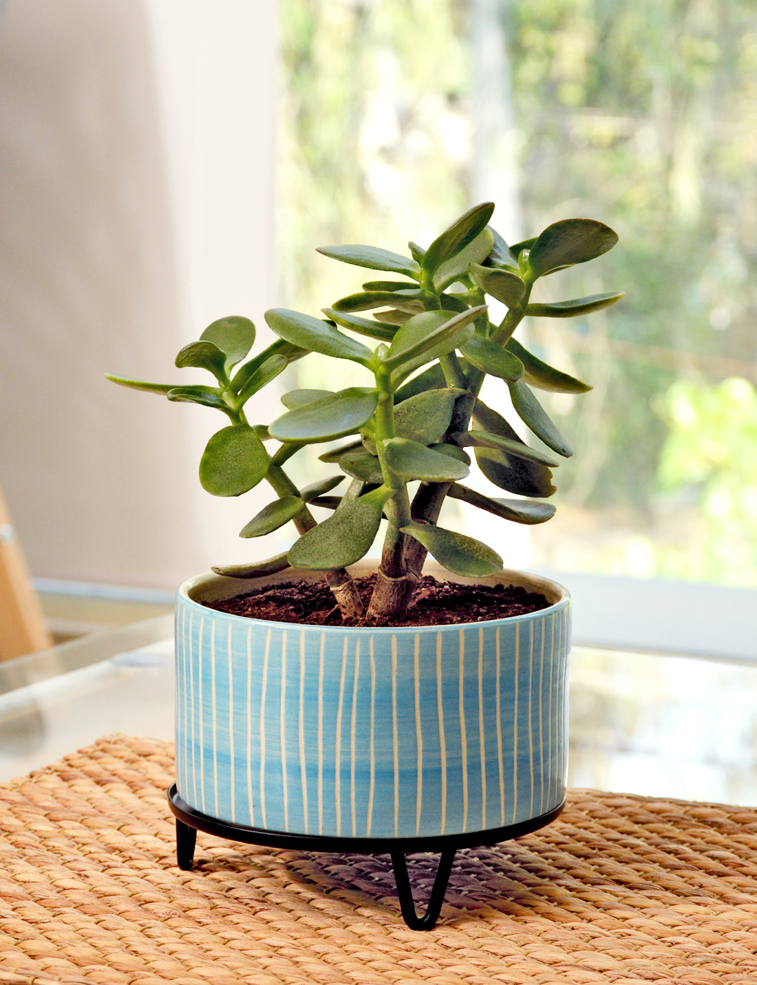 handmade Ceramic pot Blue