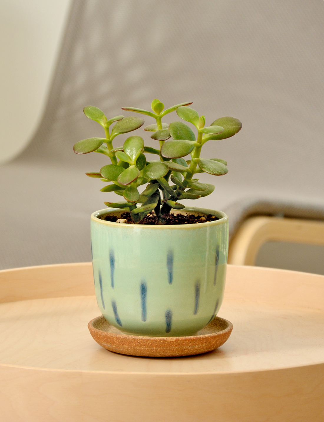 Dew Drops - Handcrafted Succulent Pot