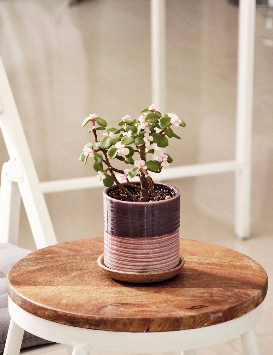Joel - Pink Plum Handmade Ceramic Pot